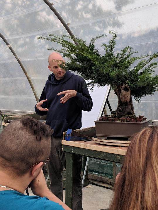 采用独特而实用的方法进行盆景栽培和设计