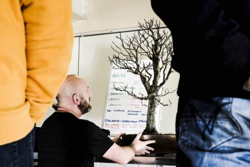 伦斯特盆景俱乐部秋冬集团会议