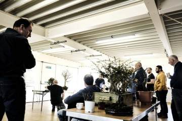 伦斯特盆景俱乐部秋冬集团会议