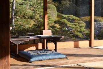 盆景帝国高级课程中的亮点