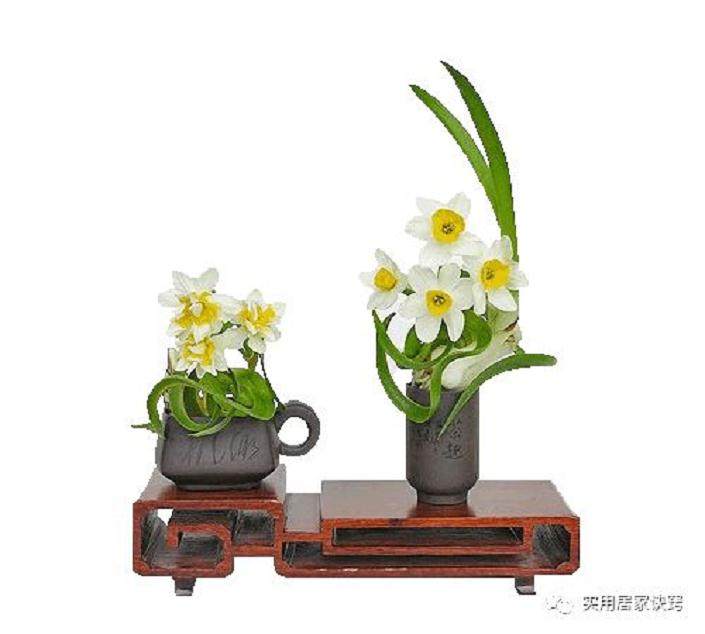 水仙鳞茎球盆景雕刻的程序