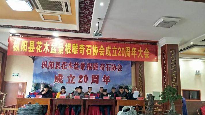 记枞阳县花木盆景根雕奇石协会成立20周年