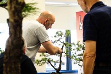 伦斯特盆景俱乐部研究组