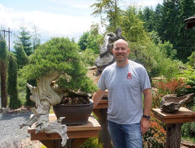 盆景制作的好素材 -- 杜松