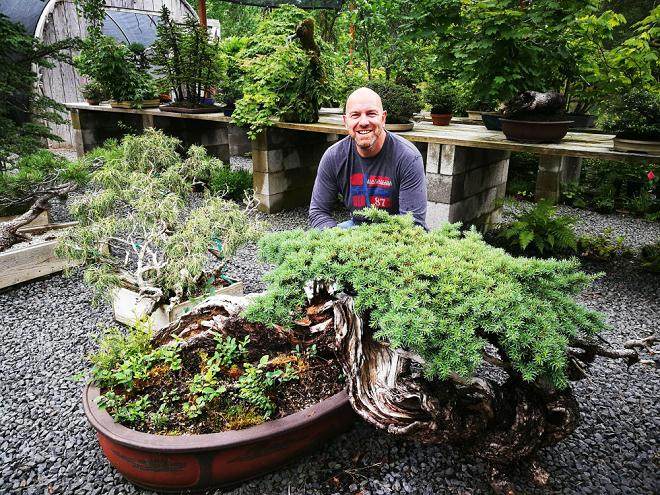 请欣赏：老外制作的山楂盆景