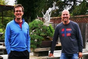 请欣赏老外制作的山楂盆景