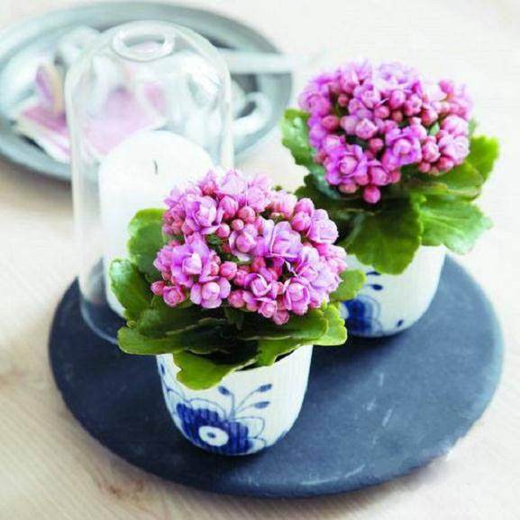 春节过后 北京市场热度依旧未减