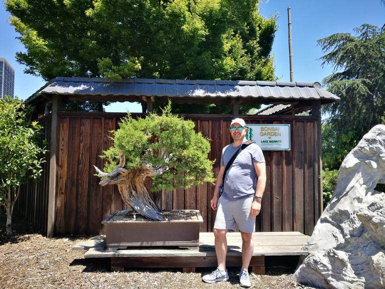 我们在新西兰停下来观看梅里特湖的盆景系列