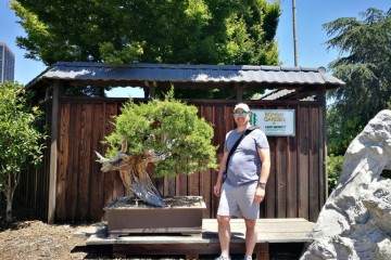 我们在新西兰停下来观看梅里特湖的盆景系列