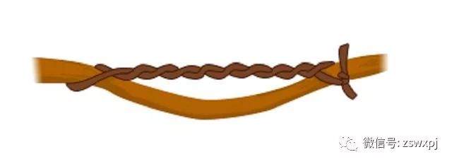 图解 盆景攀扎怎么棕丝扎法 的11个方法