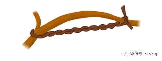 图解 盆景攀扎怎么棕丝扎法 的11个方法