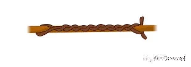 图解 盆景攀扎怎么棕丝扎法 的11个方法