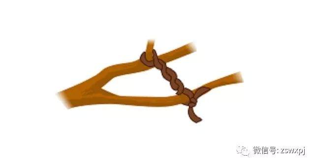 图解 盆景攀扎怎么棕丝扎法 的11个方法