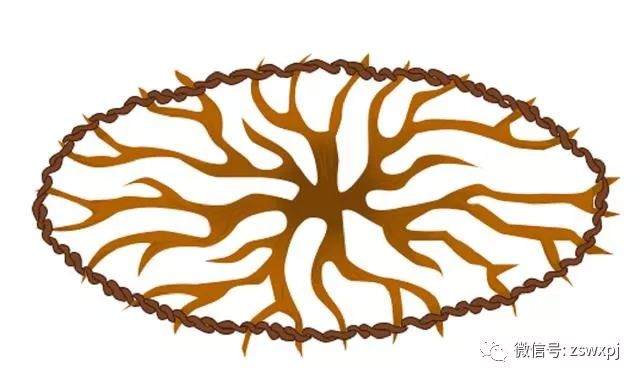 图解 盆景攀扎怎么棕丝扎法 的11个方法