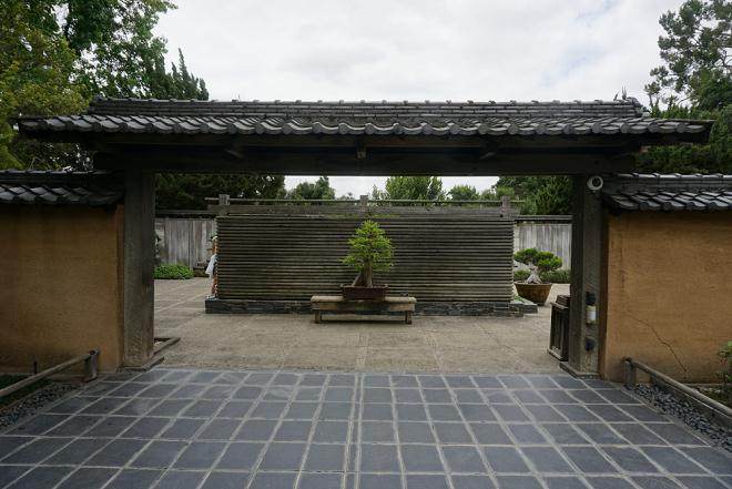 亨廷顿花园的盆景展览