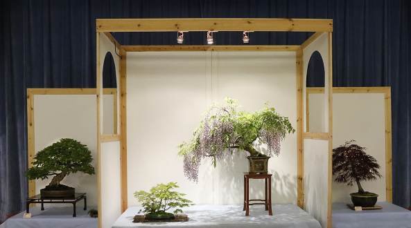 2017年 纽约州北部第44届展览照片