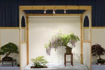 2017年 纽约州北部第44届展览照片