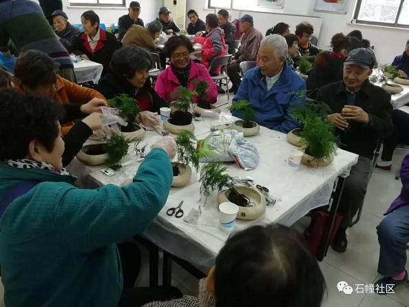 老师又为大家讲解了文竹盆景的养护方法