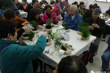 老师又为大家讲解了文竹盆景的养护方法