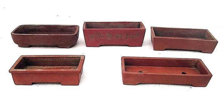 图解 丛林式微型盆景的制作案例