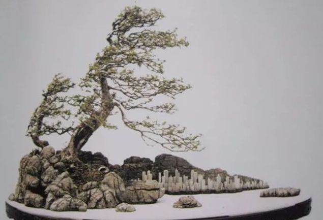 砚式盆景有以下5个特点