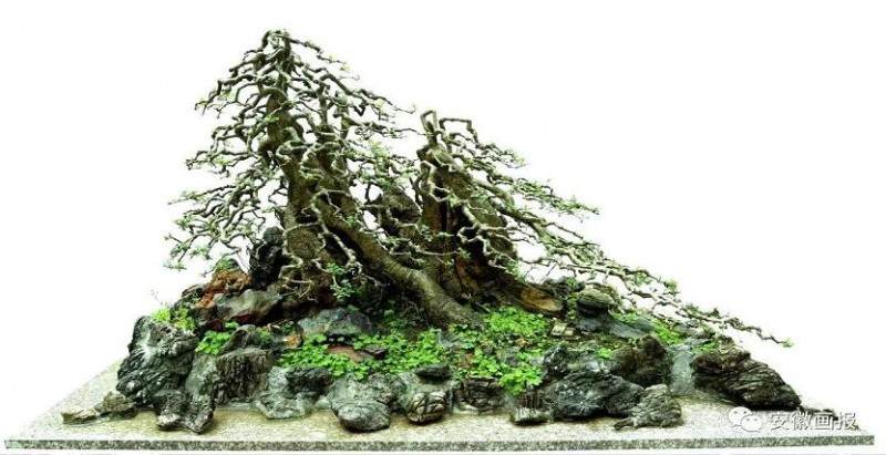 六安束苑:盆景艺术的精神高地