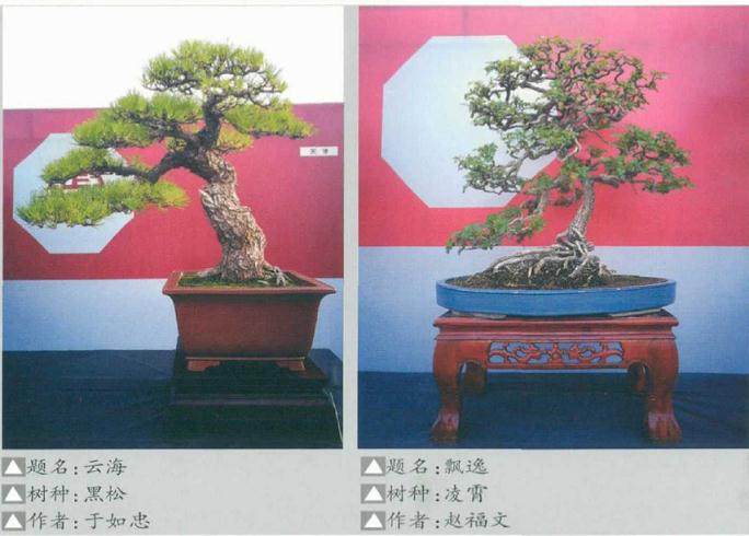 2018年第二届京津冀盆景精品展盛大开幕