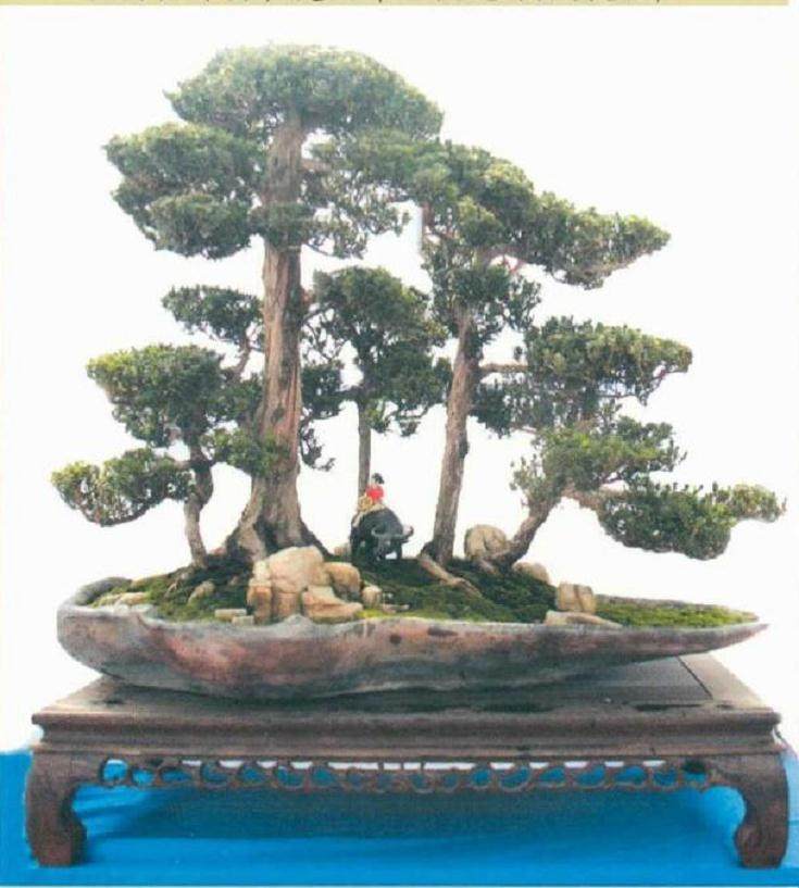 2018年 临沂秋季盆景展在花木博览城隆重开幕