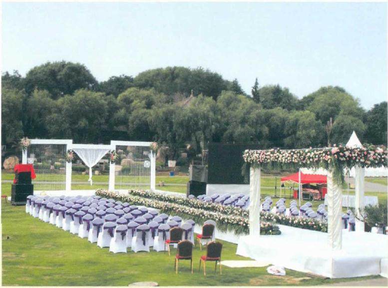 中国唐苑观赏区展示的千余盆大气磅礴的盆景