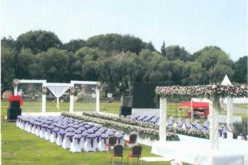 中国唐苑观赏区展示的千余盆大气磅礴的盆景