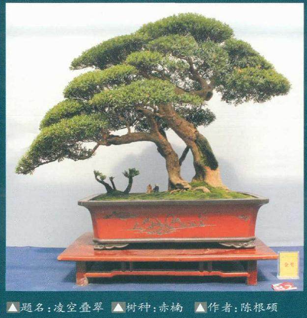 2018年 六届中国沭阳花木盆景节