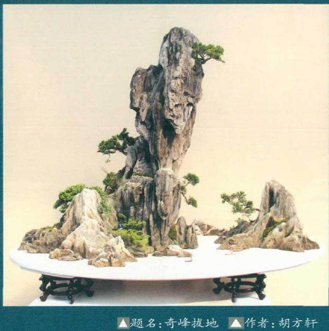 2018年 第六届中国沭阳花木盆景节