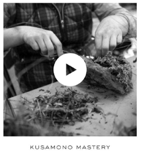 波特兰盆景协会会议的现场直播