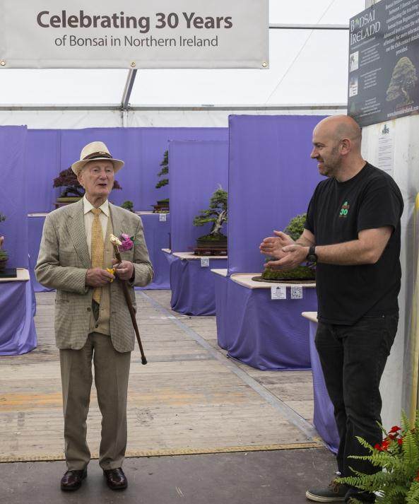 当我1993年加入北爱尔兰盆景协会时