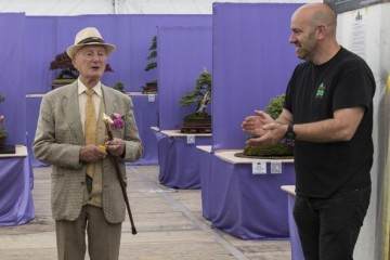 当我1993年加入北爱尔兰盆景协会时