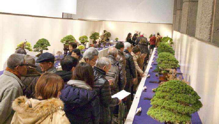 2017年 第91届 日本国府盆景展 - 第2部分