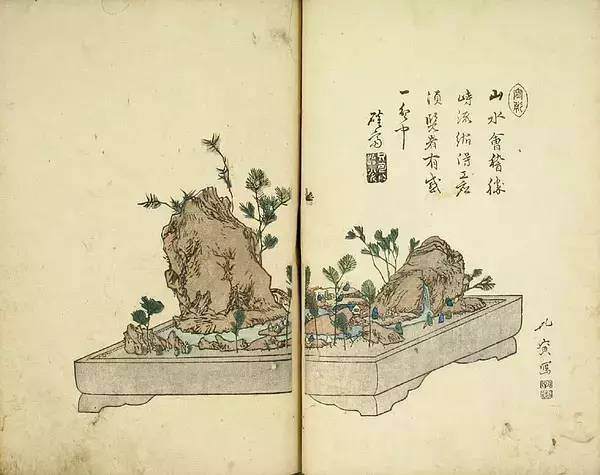 日本占景盆景属中国金陵派盆景