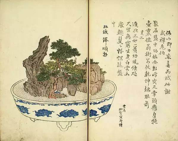 日本占景盆景属中国金陵派盆景