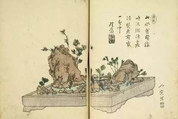 日本占景盆景属中国金陵派盆景