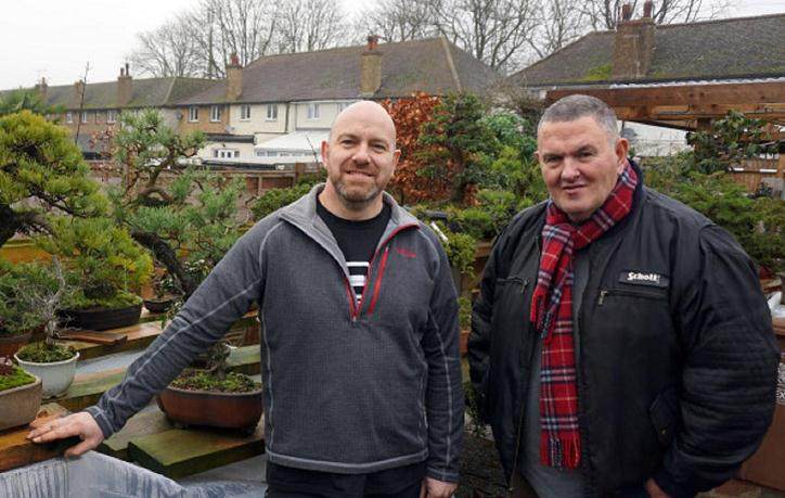 欧洲:爱尔兰的盆景艺术家