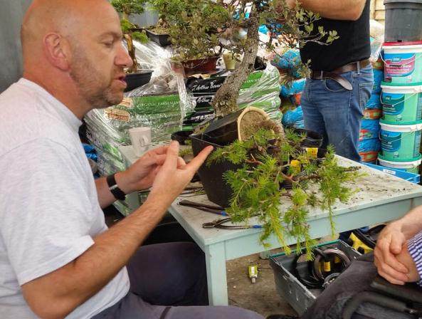 2016年举办最后的盆景联合研讨会的机会