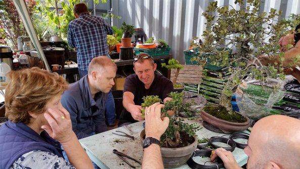 2016年举办最后的盆景联合研讨会的机会