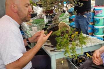 2016年举办最后的盆景联合研讨会的机会