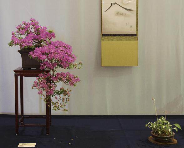 2018年 第43届纽约上州盆景展