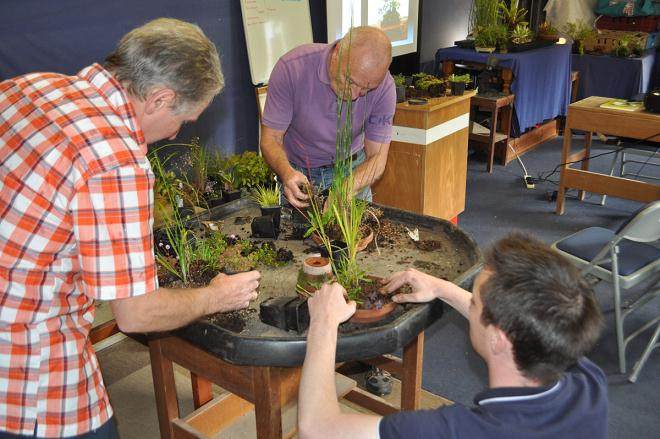 日本传统工艺盆景研讨会 - 2016年6月4日