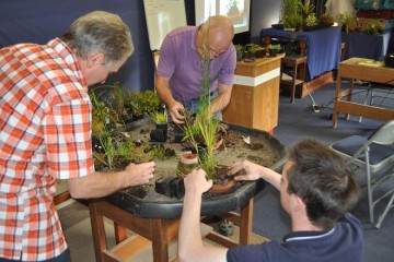 日本传统工艺盆景研讨会 -  2016年6月4日