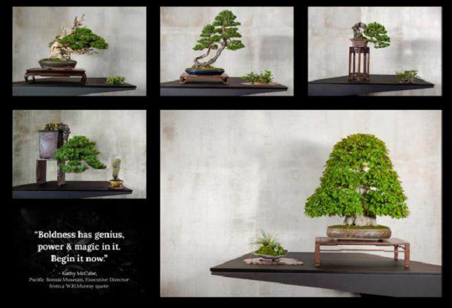 他们才是真正的盆景工匠