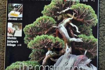 请看看外国的盆景杂志吧