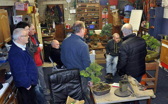 没有什么比与盆景爱好者坐在一起 只是享受盆景