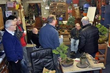 没有什么比与盆景爱好者坐在一起 只是享受盆景